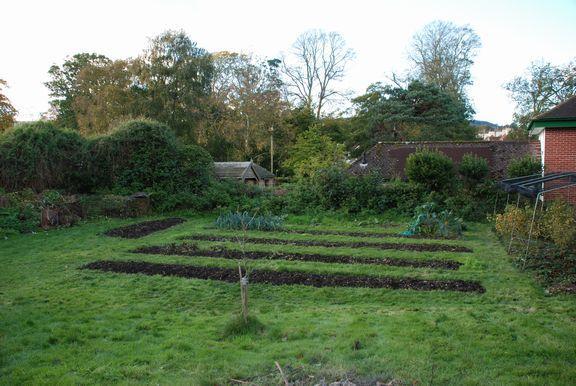 Kitchen Garden