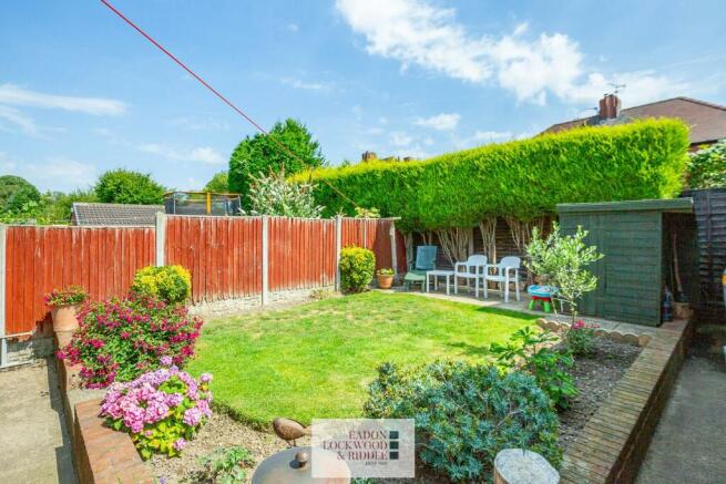 Back garden