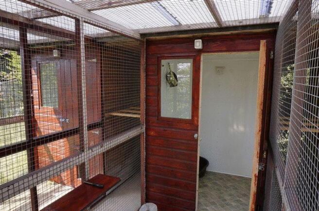 Cattery 