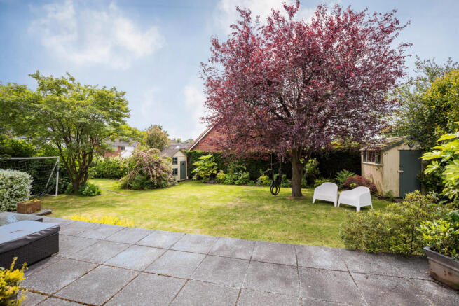 Image0034Yopa