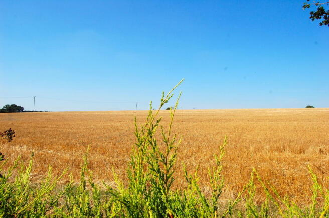 Field Views to th...