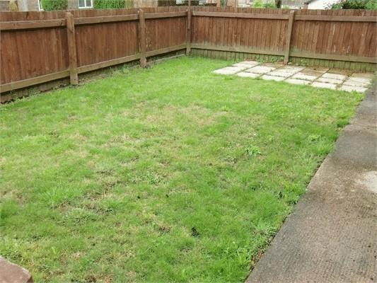 Photo11