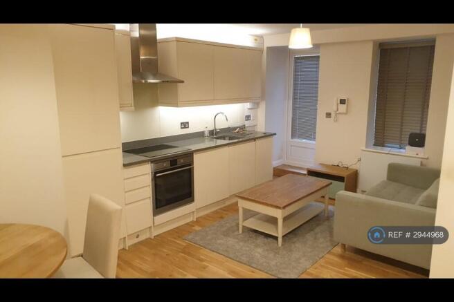 Modern Kitchen/Living Area