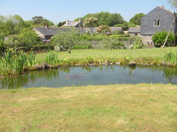 Pond