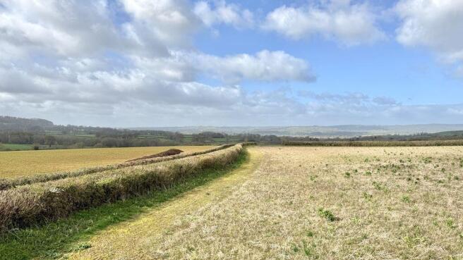 View from First Floor