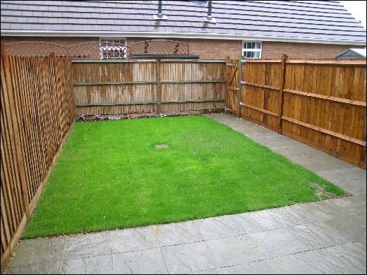 rear garden