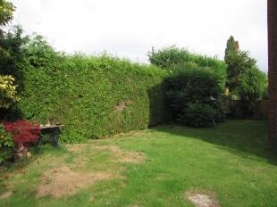 Rear Garden 2