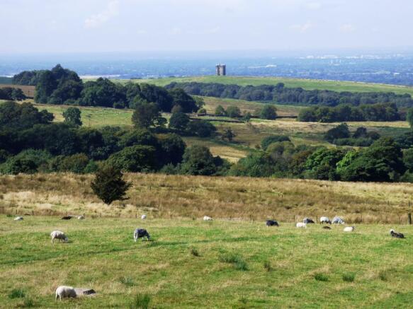 'The Cage', Lyme Par