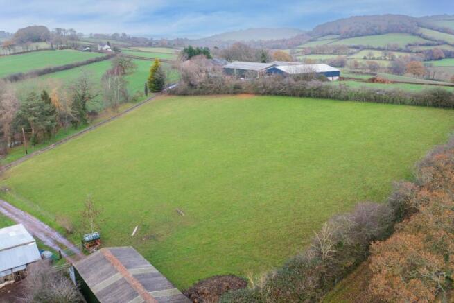 Front Aspect Field 