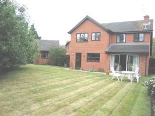House from rear