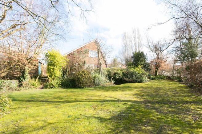 Large side garden