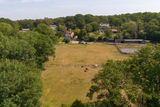 The Paddocks