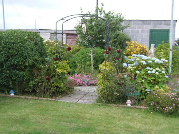 Garden Pic 2