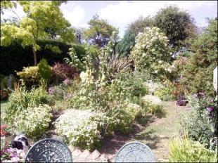 ESTABLISHED GARDEN