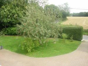 Photo 25