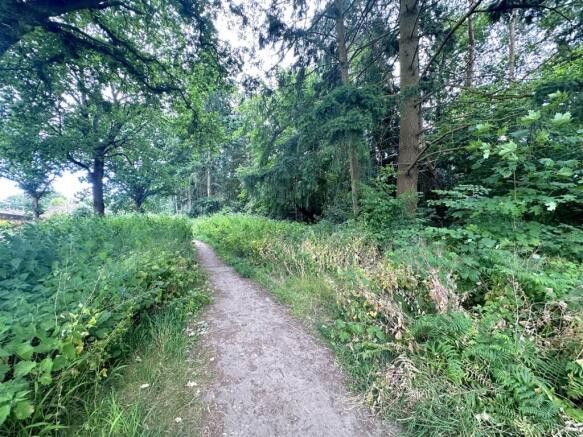 Walking Path