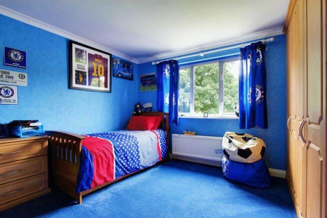 Photo 15