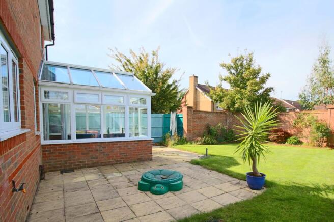 Patio Area
