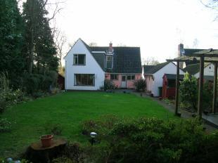 Rear of Property