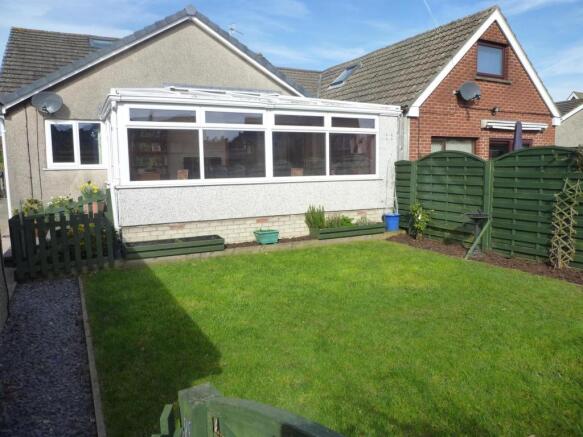 rear garden2