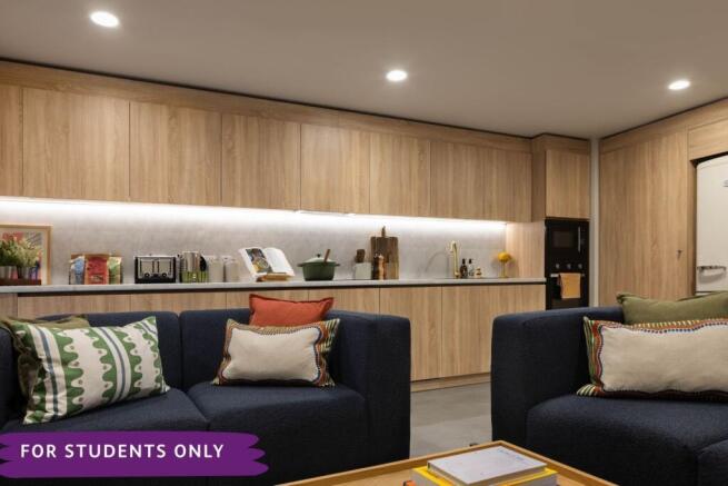 Shared Living Space