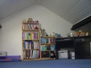 Photo 9
