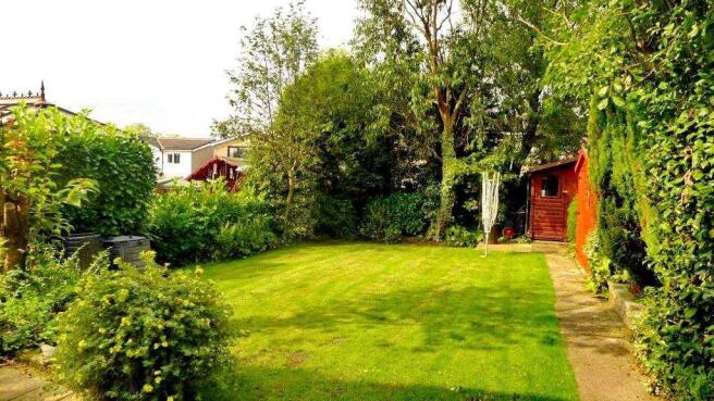 Photo 15