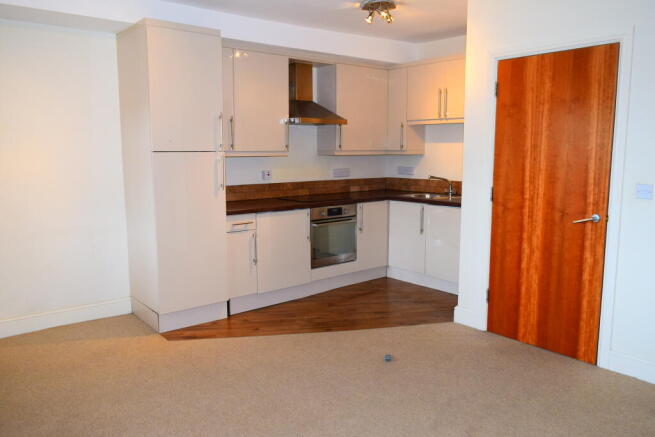 Kitchen/Living Room