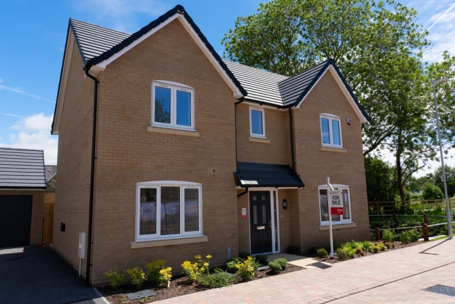 The Wilstead Plot 31