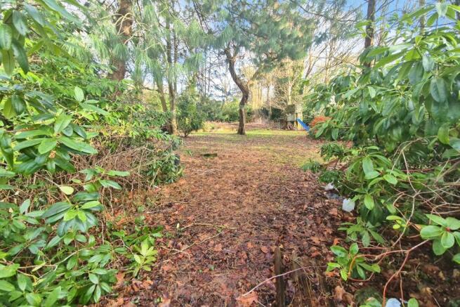 Garden/Paddock
