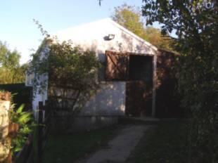 Picture 9