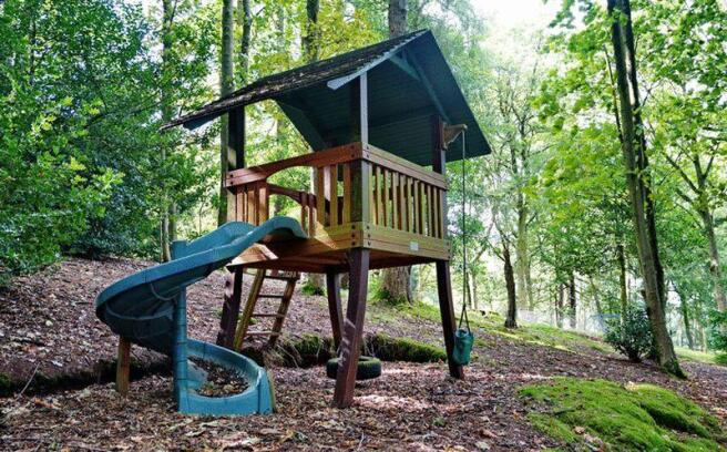 Play Area