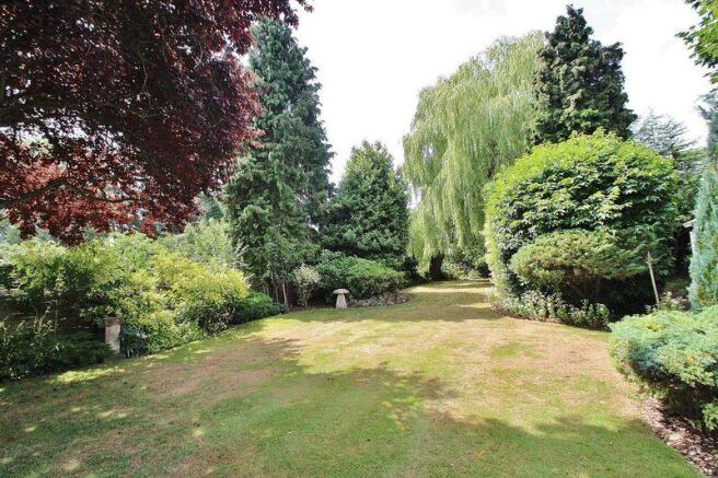 Garden View 2