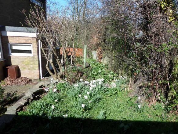 Side garden area