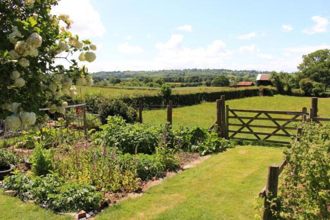 Rear Garden View