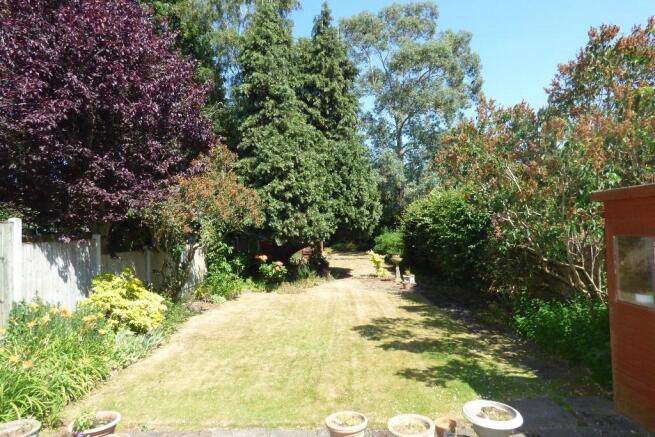 Photo 7