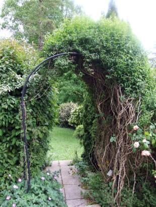 Front garden
