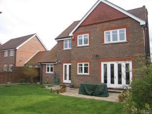 Rear Elevation New