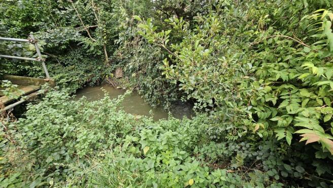 Stream