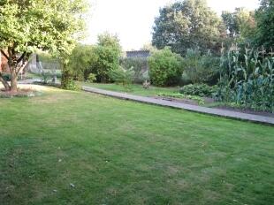 Garden 3