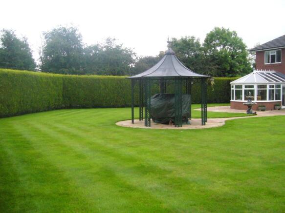 rear garden 2