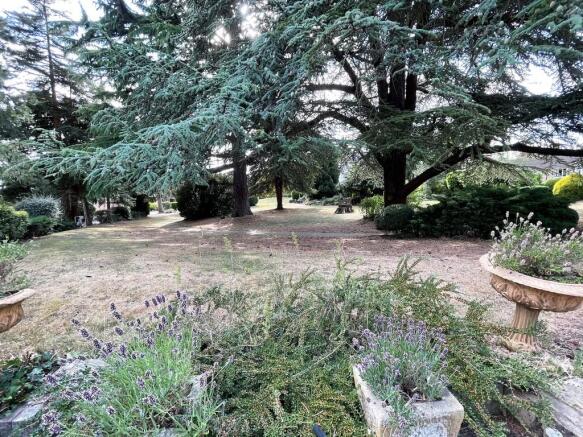 Communal Gardens