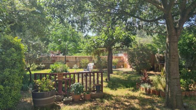 jardin 1