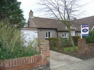 7 bisley ext