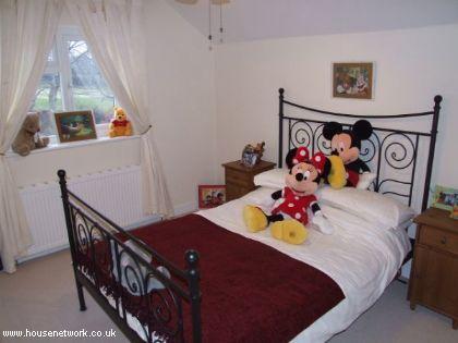 Photo 33