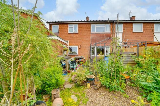 Back Garden