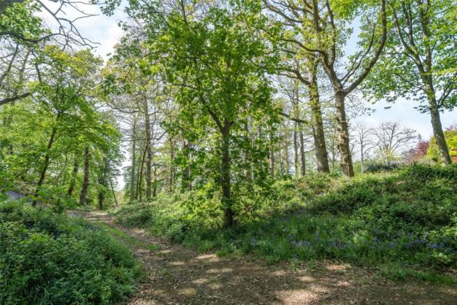 Picture No. 11