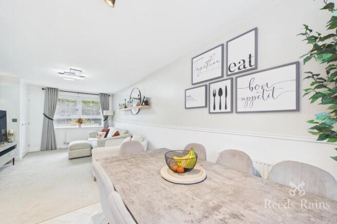 Kitchen/Living Area