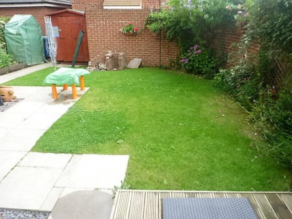 Photo 11