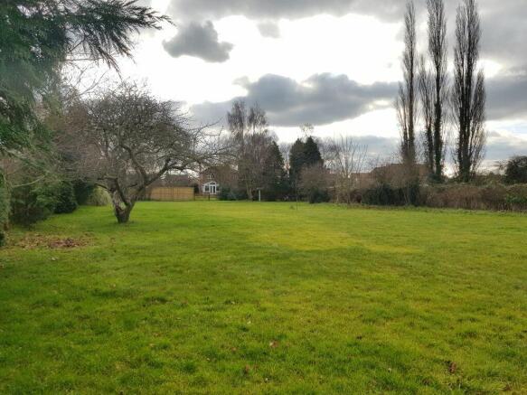 Garden at Back